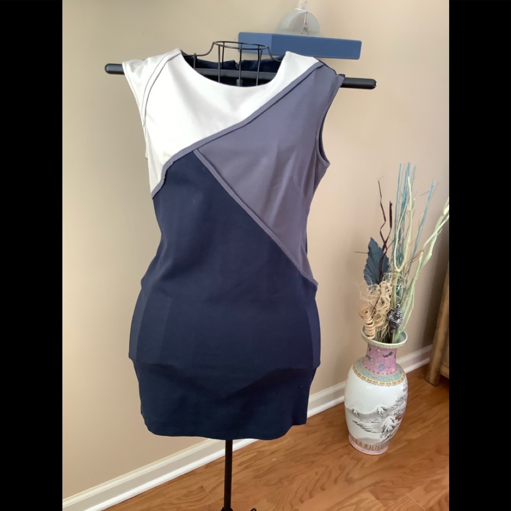 Adrianna Papell Dress. Sz 8 P